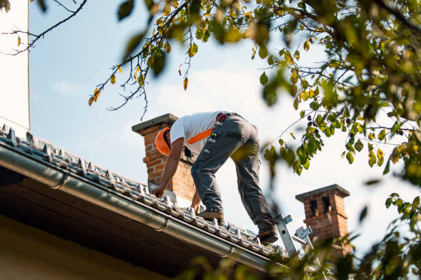 Best Metal Roofing Contractor  in Canastota, NY