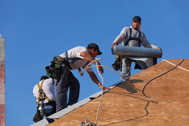 Best Shingle Roofing Installation  in Canastota, NY